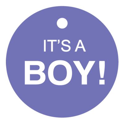 100 PCS Circle Personalized Baby Shower Favor Gift Tags It's a Boy Baby Shower Hang Tags