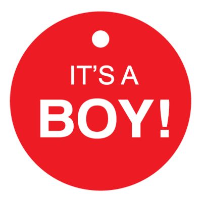 100 PCS Circle Personalized Baby Shower Favor Gift Tags It's a Boy Baby Shower Hang Tags