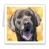 DJ Rogers Fine Art Chocolate Lab - Set of 10 Note Cards With Envelopes view 1