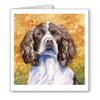DJ Rogers Fine Art Springer Spaniel - Set of 10 Note Cards With Envelopes view 1