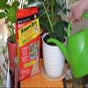 Summit...responsible solutions Mosquito Bits for Insects, 30 Ounce view 2