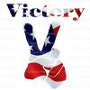 1/4 Sheet - Victory Election Birthday - Edible Cake/Cupcake Party Topper - D21723 view 1