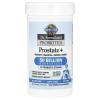 Garden of Life Dr. Formulated Probiotics Prostate+ - Acidophilus and Probiotic Supports Healthy Prostate and Digestive Balance - Shelf Stable - Gluten, Dairy, and Soy-Free - 60 Vegetarian Capsules view 4