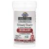 Garden of Life Dr. Formulated Probiotics Urinary Tract+ - 50 Billion CFU - Supports Digestive, Immune & Urinary Tract Health - Shelf Stable - 60 Vegetarian Capsules view 4