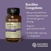 Bacillus Coagulans, NutriBiome view 2