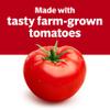 Campbell's Condensed Heart Healthy Tomato Soup, 23.2 oz Family Size Can view 4