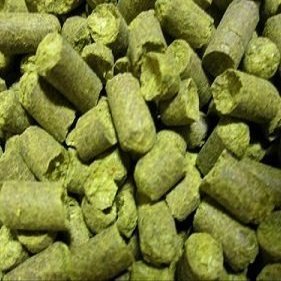 US Apollo Hop Pellets - 1 oz. by Strange Brew