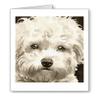 DJ Rogers Fine Art Bichon Frise - Set of 10 Sepia Dog Note Cards With Envelopes view 1