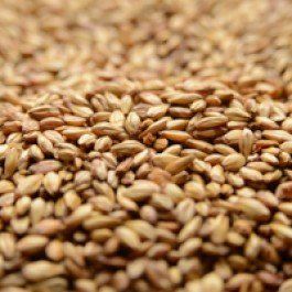 Briess 2-Row Caramel 10L Uncrushed Malt - 1 lb. Bag by Strange Brew