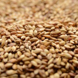 Briess 2-Row Caramel 10L Uncrushed Malt - 1 lb. Bag by Strange Brew