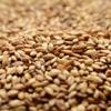 Briess 2-Row Caramel 10L Uncrushed Malt - 1 lb. Bag by Strange Brew