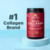 Ancient Nutrition Collagen Powder Protein with Probiotics, Unflavored Multi Collagen Protein with Vitamin C, 45 Servings, Hydrolyzed Collagen Peptides Supports Skin and Nails, Gut Health, 16oz view 3