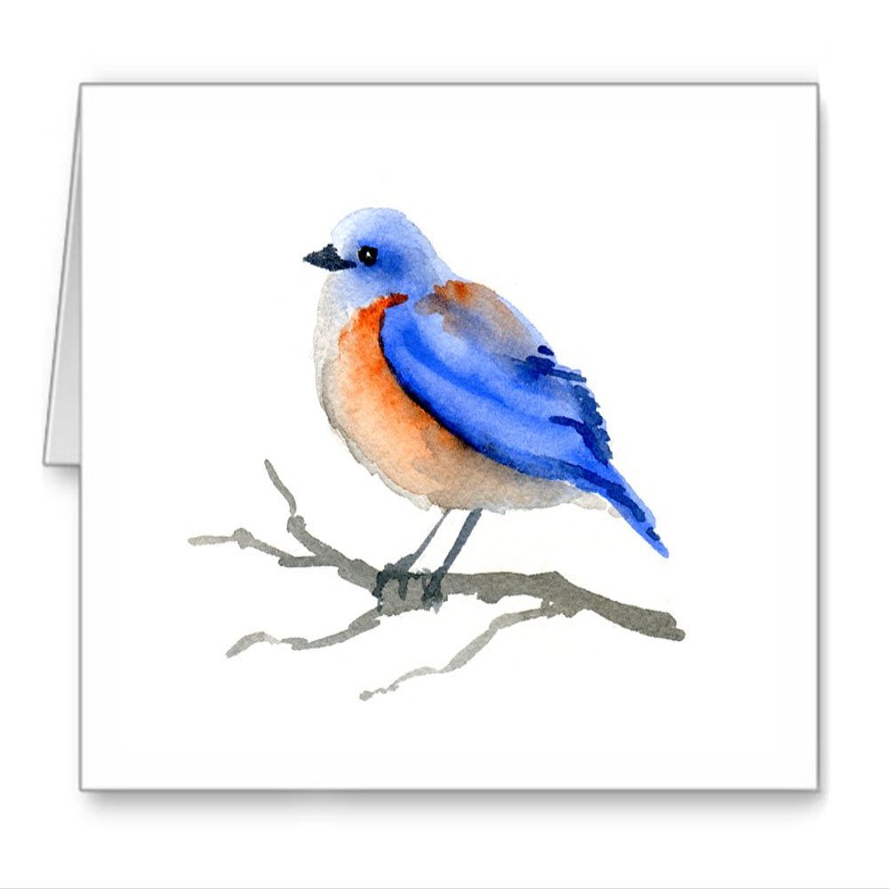DJ Rogers Fine Art Bluebird - Set of 10 Watercolor Animal Note Cards With Envelopes