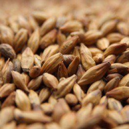 Weyermann CARAMUNICH Type 1 Uncrushed Malt - 1 lb. Bag by Strange Brew