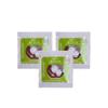 BIO Yogurt Starter Culture- Pack of 3 Sachets with Bifidobacterium and Acidophilus view 2