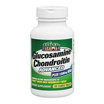 21St Century Glucosamine Chondroitin Advanced with Msm - 120 Tablets (Pack of 4)