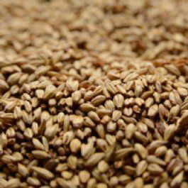 Briess Caramel 20L Uncrushed Malt - 1 lb. Bag by Strange Brew