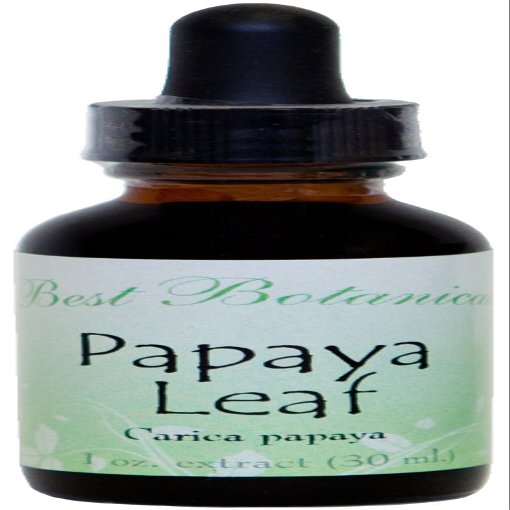 Best Botanicals Papaya Leaf Extract 1 oz.