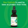 Organika Bee Propolis Tincture 1 oz: Vegan Propolis Extract - Throat and Breathing - Free of Gluten, GMO, & Artificial Flavors - 10 Day Prop Drops Supply view 4