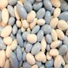 Sconza Jordan Almonds Pastel Blue And White (2 Pound) view 1