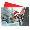 B6481EXSG Box Set of 12 Doggie in The Window Christmas Note Card Featuring a Basset Hound with Santa's Hat Hanging out The Passenger Side Window of a Car; with Envelopes view 1