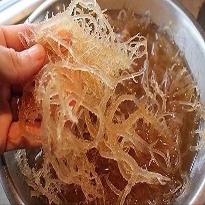 NATURAL,SEA MOSS (RAW) 8 0Z - IRISH MOSS ,CHONDRUS CRISPUS,Jamaica Drink Below