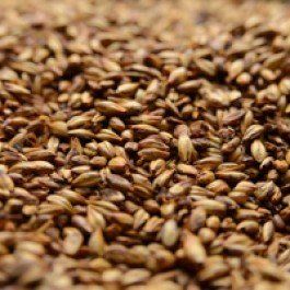 Briess 2-Row Caramel 80L Crushed Malt - 1 lb. Bag by Strange Brew