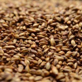 Briess 2-Row Caramel 80L Crushed Malt - 1 lb. Bag by Strange Brew