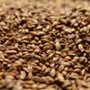 Briess 2-Row Caramel 80L Crushed Malt - 1 lb. Bag by Strange Brew view 1