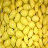 Sconza Lemoncello Almonds - Lemon Cream Almonds 2 Pound ( 32 OZ ) view 1