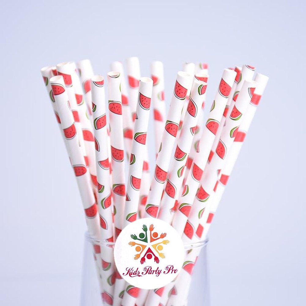 100 pcs Red Watermelon Paper Straws, Fun Cute Picnic Fruit Print Patterned Beverage Party Paper Drinking Straws Bulk, Kids Birthday Wedding Colored Cake Pop Sticks