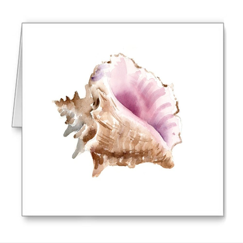 DJ Rogers Fine Art Seashell - Set of 10 Watercolor Note Cards With Envelopes