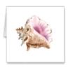 DJ Rogers Fine Art Seashell - Set of 10 Watercolor Note Cards With Envelopes view 1