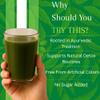 BASIC AYURVEDA Neem Leaf Juice | 16.23 Fl Oz (480ml) | Natural Bitter Herbal Detox Drink | Supports Skin Health, Immunity & Hair Wellness | No Added Sugar | Pure Neem Extract view 4