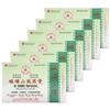 E Mei Shan Medicated Plaster (Jako Kototsu) (5 plasters per Box) (6 Boxes) (Solstice) view 1