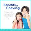 Fun and Function Cool Chews Red Race Car Chew for Light Chewers Great for Children with Sensory Challenges and Special Needs, Can Help to Calm and Retain Focus - Made from Food Grade Silicone view 3