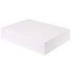 2 Coat White Gift Boxes, 19 x 14.25 x 4 Inches by Holiday Time view 1