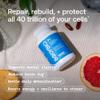 BodyBio PC - Phosphatidylcholine for Brain Health, Mental Clarity, Cognitive Function, Cellular Repair & Healthy Aging, Phospholipid Complex Supplement for Gentle Daily Detox view 4