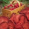 Brothers-ALL-Natural Fruit Crisps, Strawberry, 1 Ounce (Pack of 6) view 3