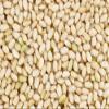 ROM AMERICA Sweet Sticky Glutinous Short Grain Brown Rice for Asian Cooking and Desserts - Risotto, Porridge, Healthy Breakfast Bowl, Soups, Pudding -  Hyeonmi Chapssal - 4 Pound (Pack of 1) view 3