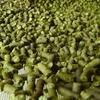 Hersbrucker Pellet Hops from Germany ONE-HALF POUND view 1