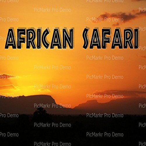 1/4 Sheet - African Safari Birthday - Edible Cake/Cupcake Party Topper - D21894