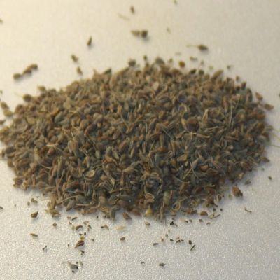 Anise Seeds Whole - 5.01 lb