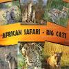 1/4 Sheet - African Safari Big Cats Birthday - Edible Cake/Cupcake Party Topper - D21891 view 1