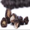 Milk Chocolate Bridge Mix by Its Delish, 10 lbs Bulk (Peanuts, Almonds, Raisins, Espresso Beans, Cashews) view 2