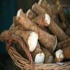 Horseradish Root, Sauget, 8 ounces (Sold by Weight). Great for Planting, Seasoning or Sauces. A taste delight. view 1