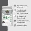 Garden of Life SPORT Whey Protein Powder Chocolate, Premium Grass Fed Whey Protein Isolate plus Probiotics for Immune System Health, 24g Protein, Non GMO, Gluten Free, Cold Processed - 20 Servings view 4