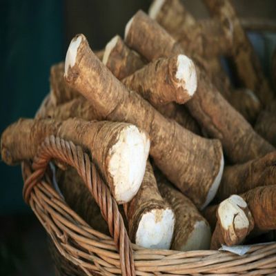 Horseradish Root, 14 ounces (Sold by Weight). Great for Planting, Seasoning or Sauces. A taste delight.