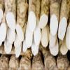 Horseradish Root, 14 ounces (Sold by Weight). Great for Planting, Seasoning or Sauces. A taste delight. view 2