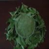 100%Organic Natural Neem powder 1oz, best quality guranteed (oz) view 1